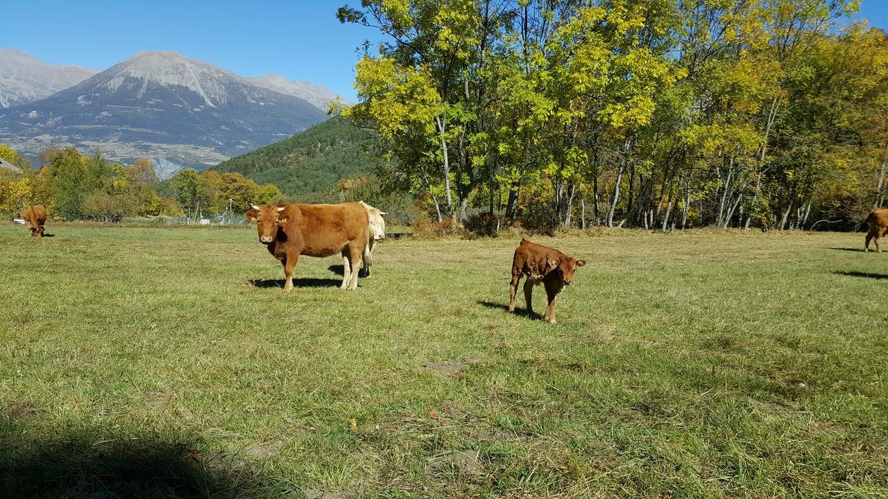 Gite De Boscodon Crots Exteriér fotografie